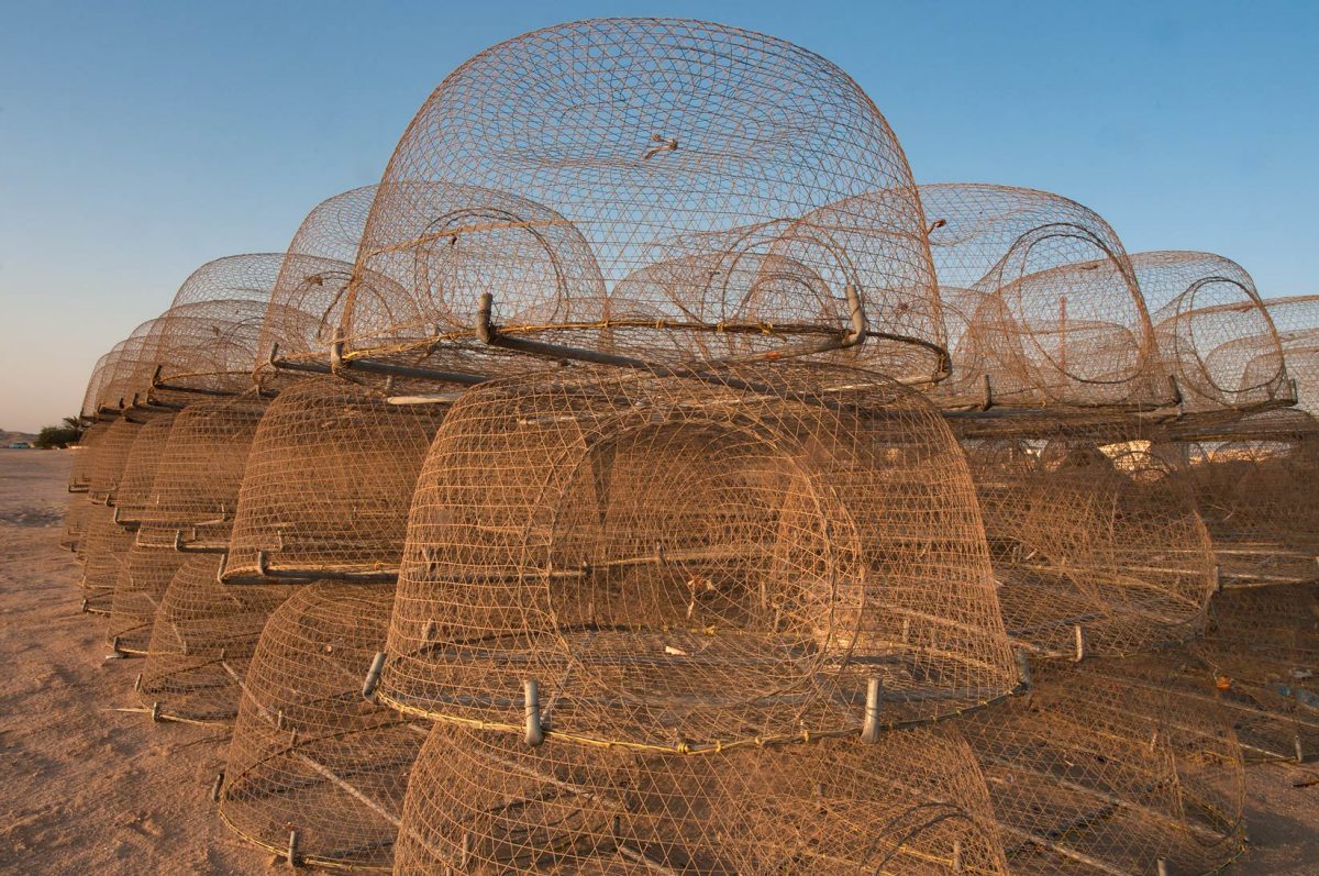 UAE to ban gargoor nets to protect Abu Dhabi fisheries - Arabian Business