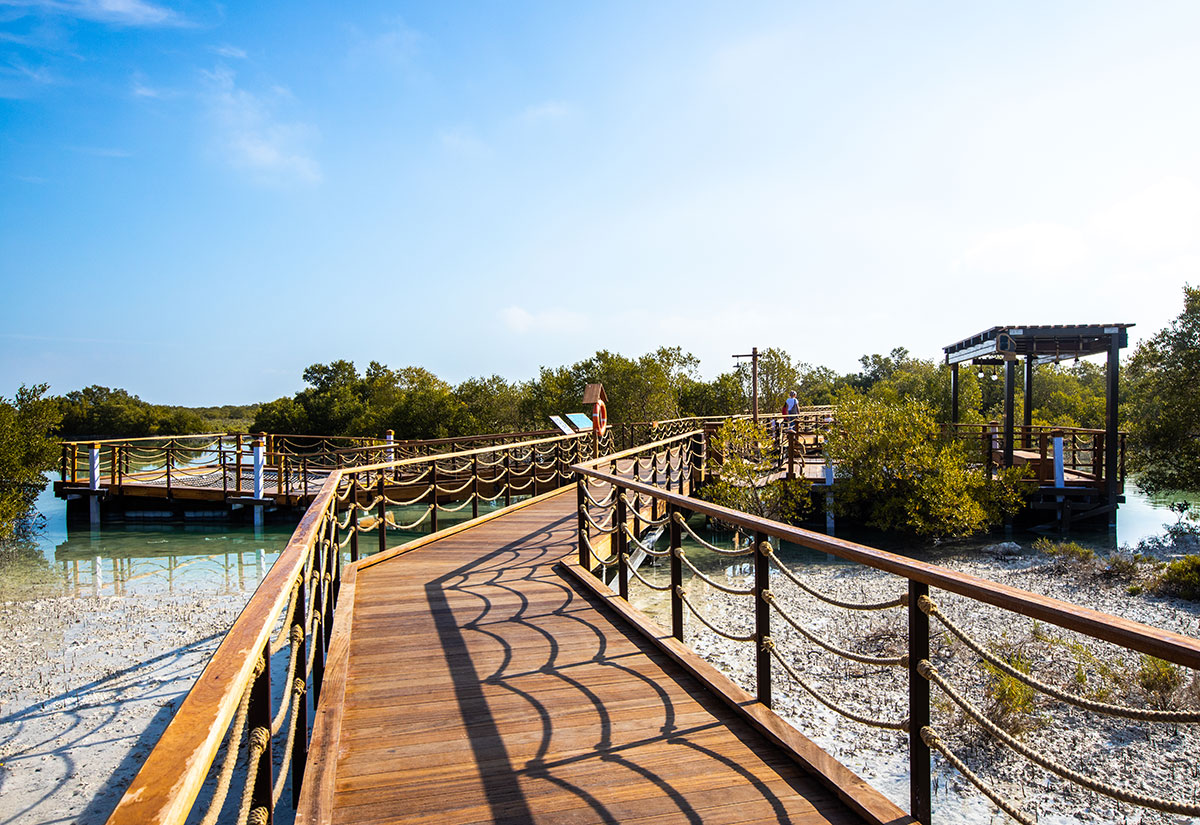 In pictures: Abu Dhabi's new attraction Jubail Mangrove Park - Arabian ...