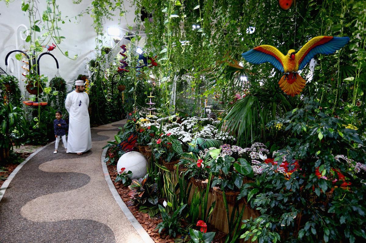 In pics: Dubai Butterfly Garden - Arabian Business