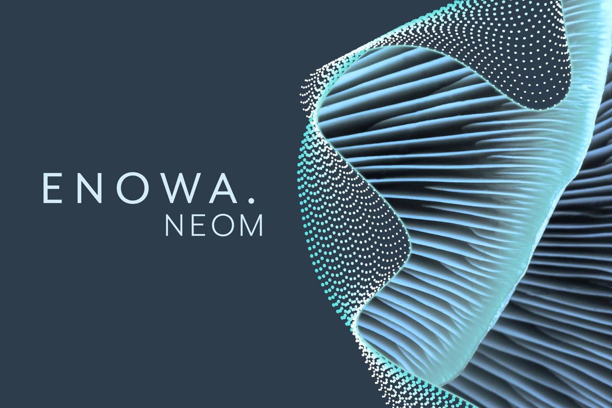 NEOM launches ENOWA to develop smart and sustainable utilities for its Oxagon, Trojena, and The Line projects - Arabian Business