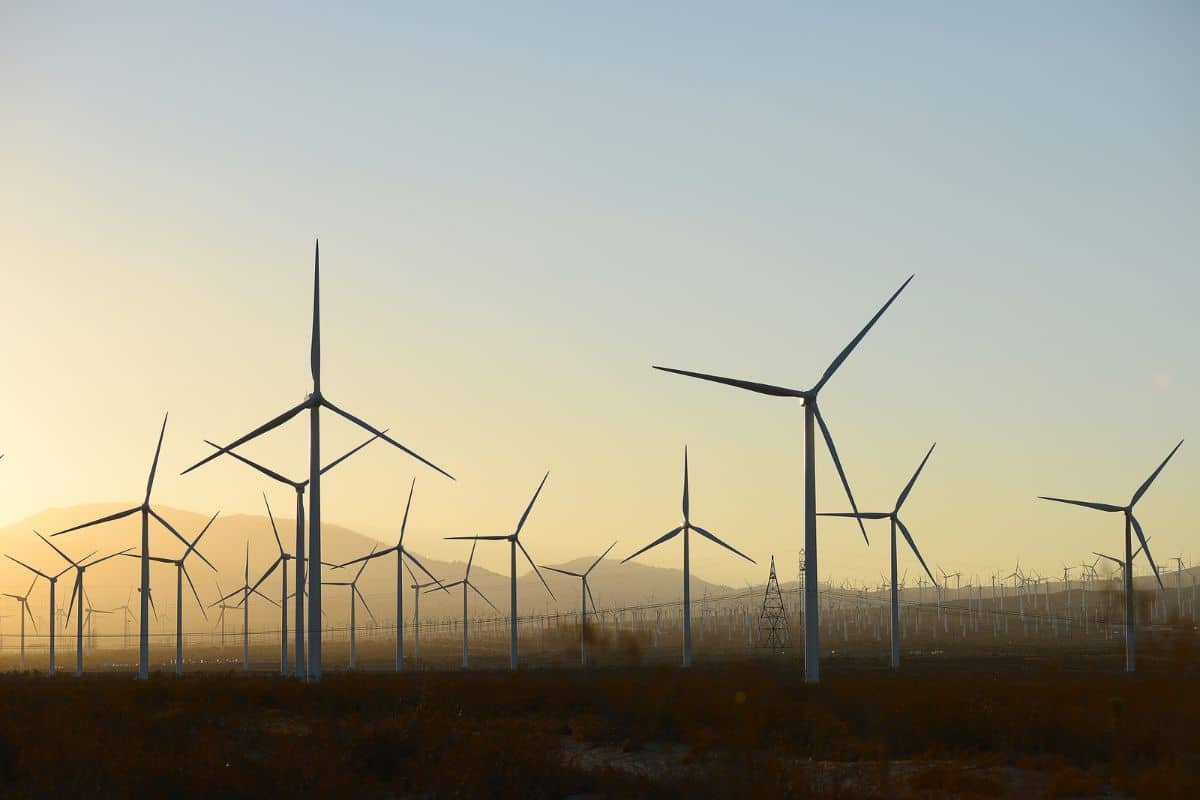 Egypt to start building $11bn wind farm from 2024