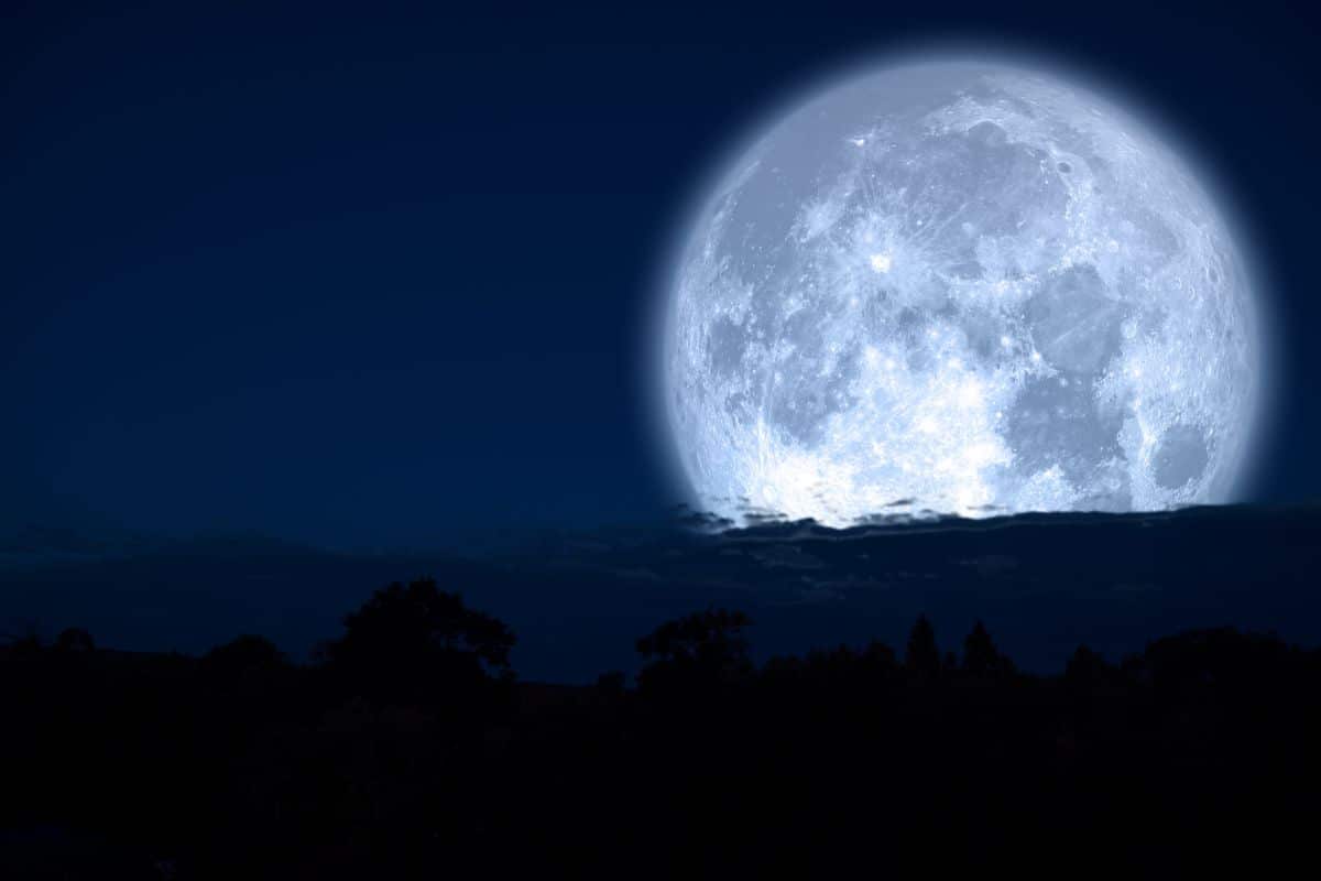 Blue Moon Latest News, Views, Reviews, Updates, Photos, Videos on