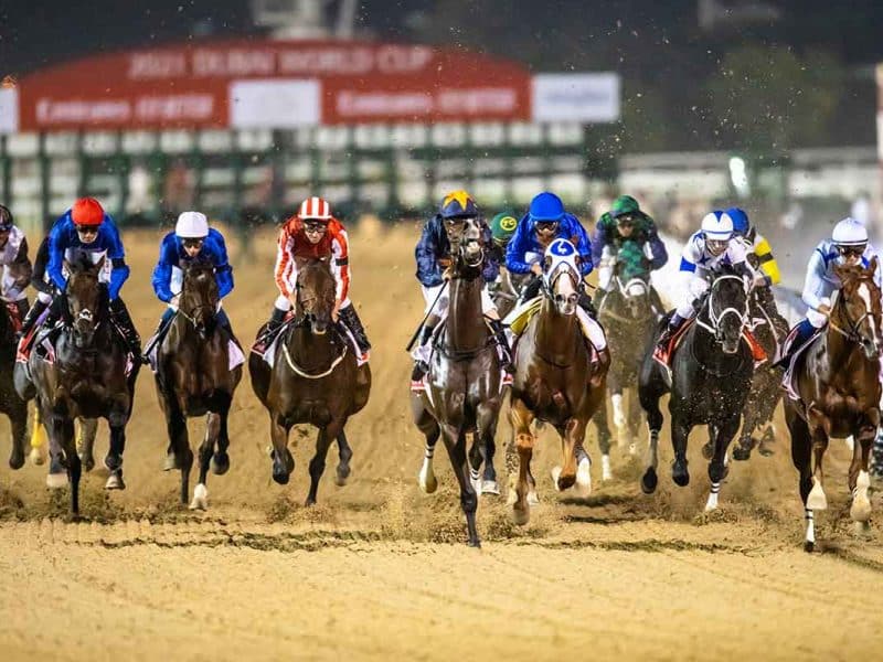 Dubai World Cup 2024 guide: Prestigious horse race returns – venue, tickets, all you need to know 