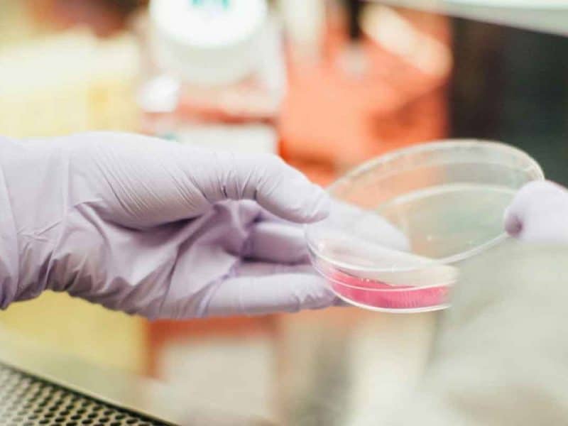 UAE’s Mubadala buys pharmaceutical firm KELIX bio in boost to life sciences sector