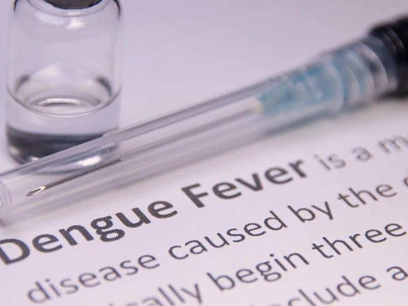 UAE dengue fever cases on the rise, doctors warn