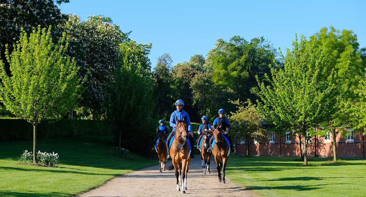 godolphin stable tours