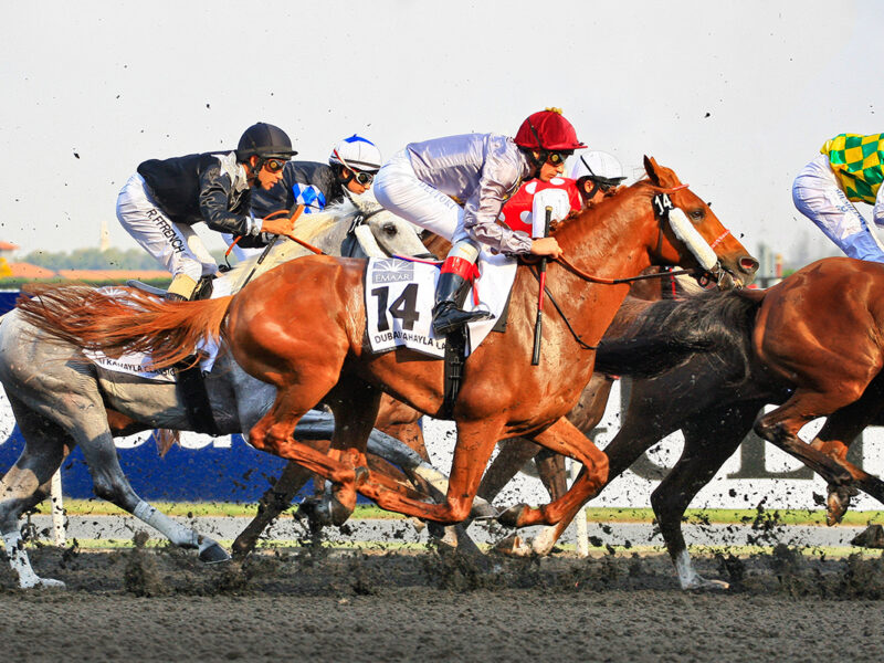 Tokenised racehorse leasing platform ahead of Dubai World Cup