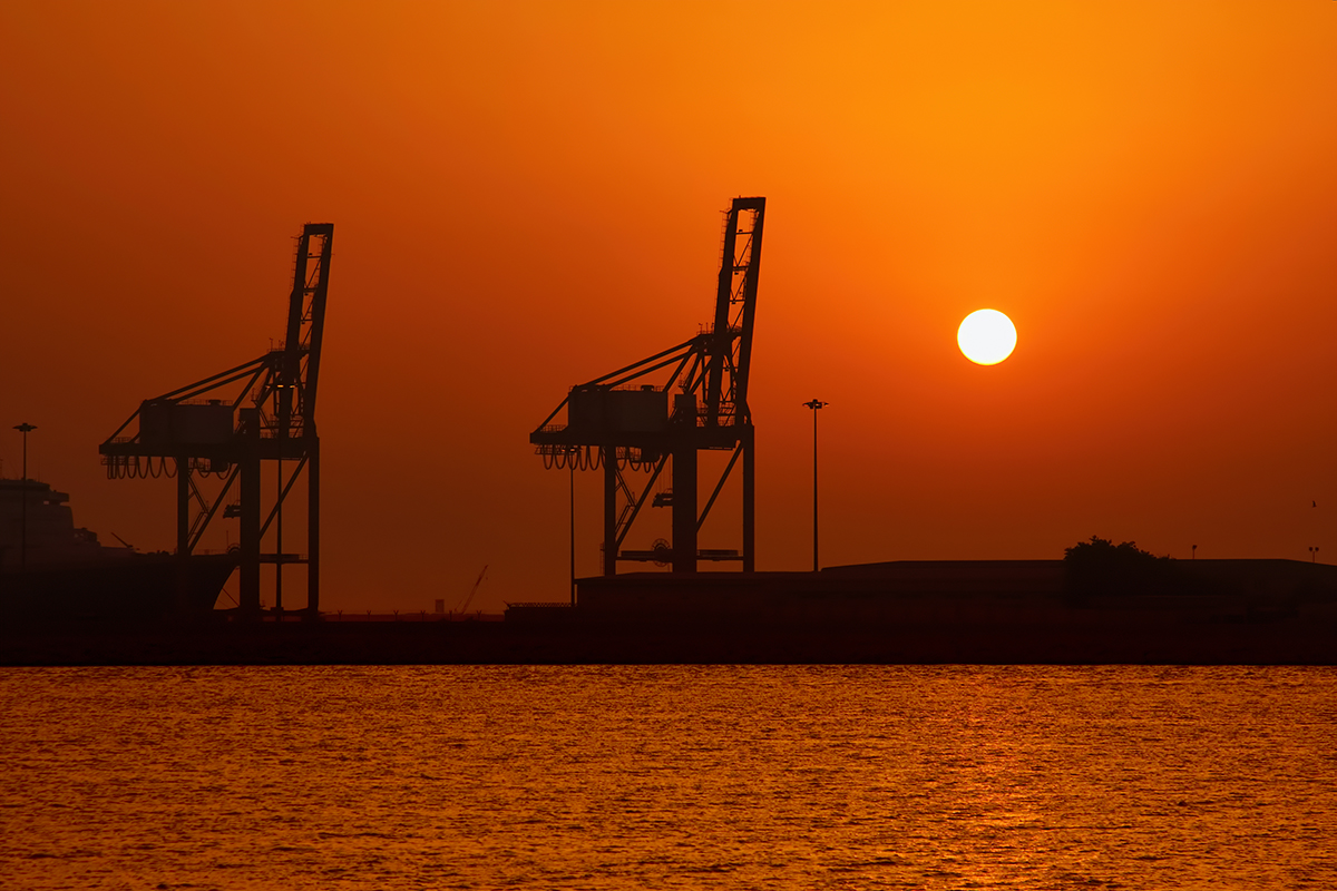 UAE trade model