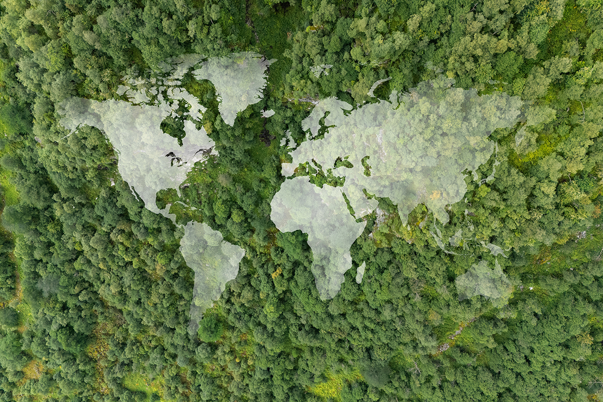 Global climate change concerns rising in APEC countries