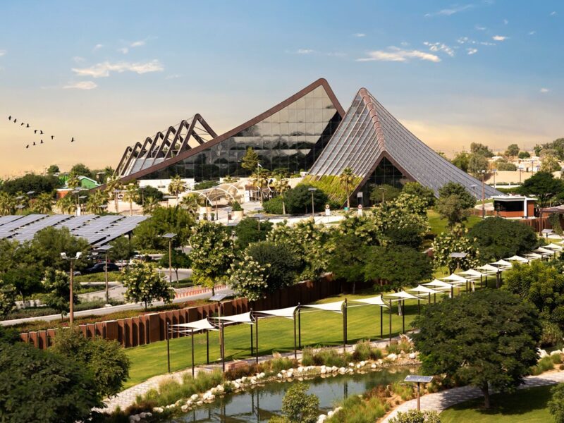 Dubai Safari Park reports roaring success as visitor numbers up 16%
