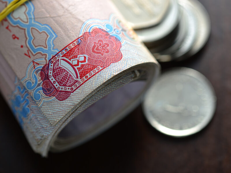 UAE's Defaulted Debts Settlement Fund