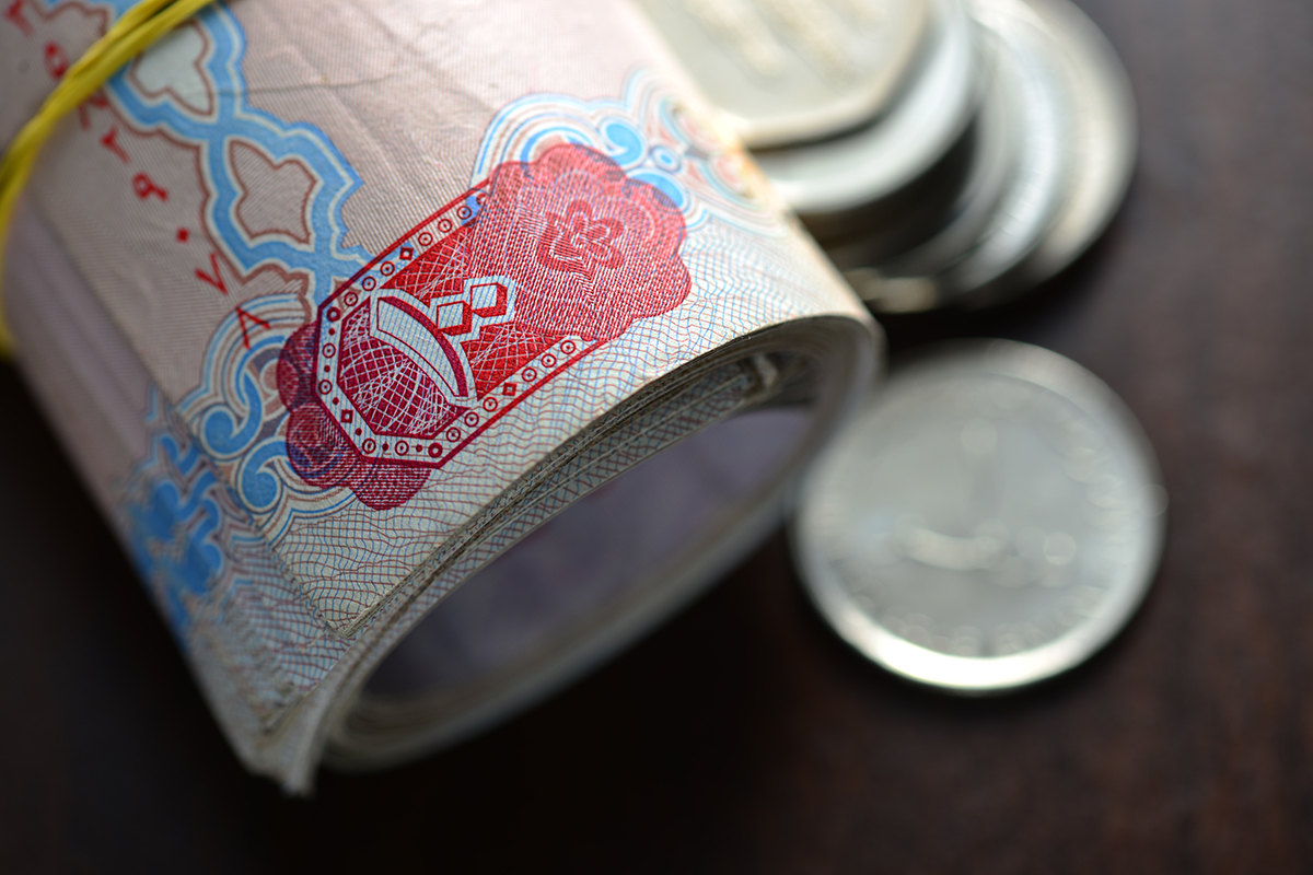 UAE's Defaulted Debts Settlement Fund