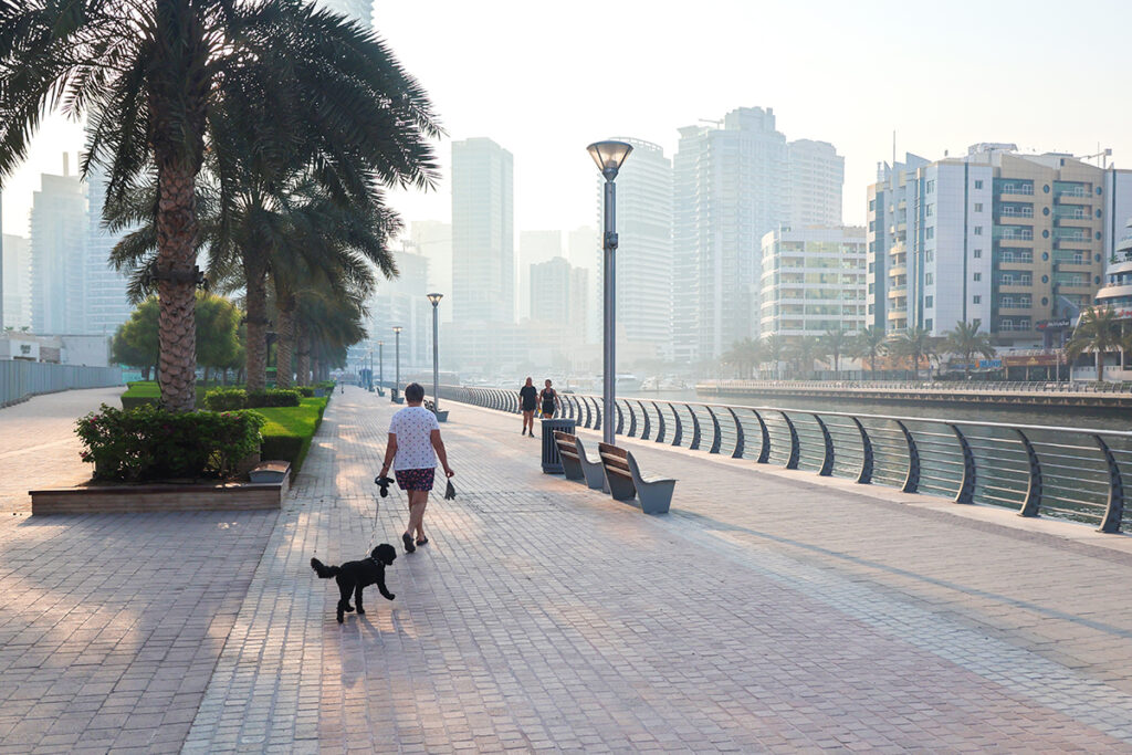 UAE pet insurance policies