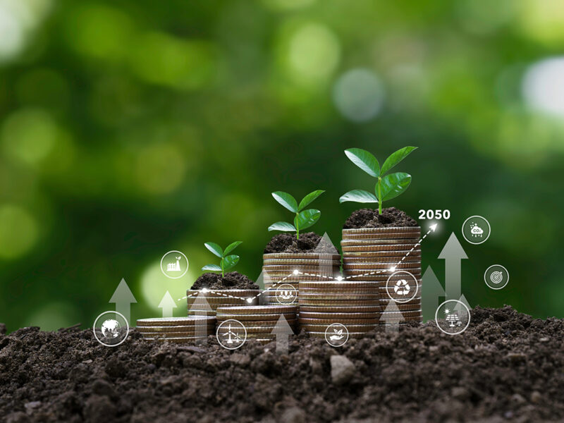 Saudi Arabia, UAE leads $9.47bn MENA sustainable bond market in H1 2025