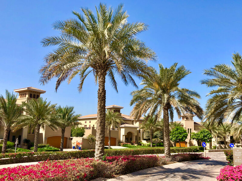 Abu Dhabi residential market