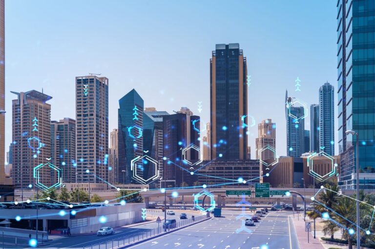 UAE digital transformation