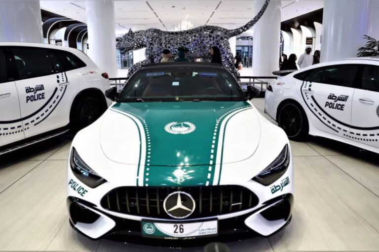 Dubai Police
