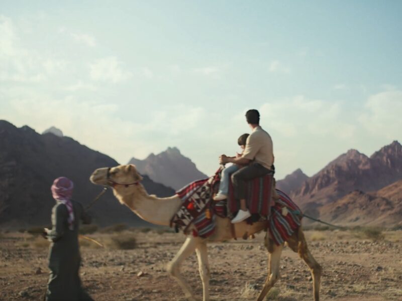 Saudi Arabia PIF Dan Company Solan agritourism farm