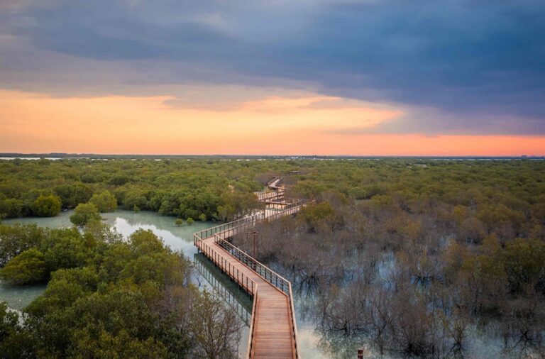 Abu Dhabi nature