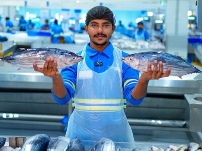 Dubai Waterfront Market