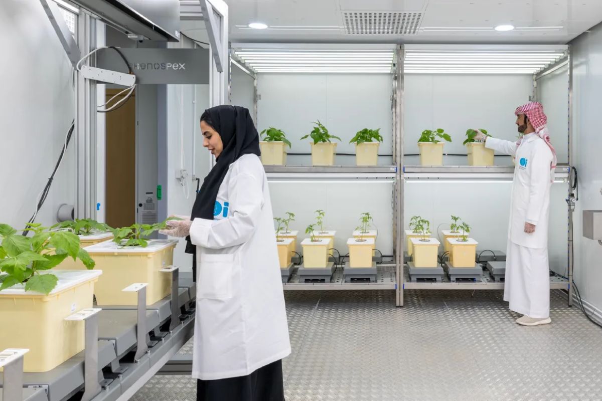 Silal, Limagrain to develop abiotic resilience and crop genomics centre in Al Ain