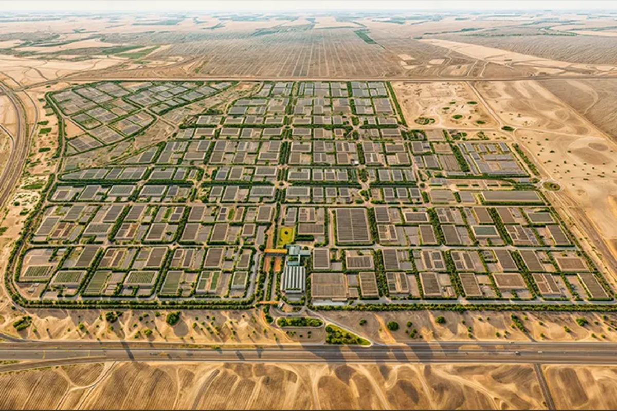 Invest Saudi Special Integrated Logistic Zone