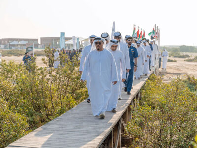 Mangrove Planting Initiative in Dubai
