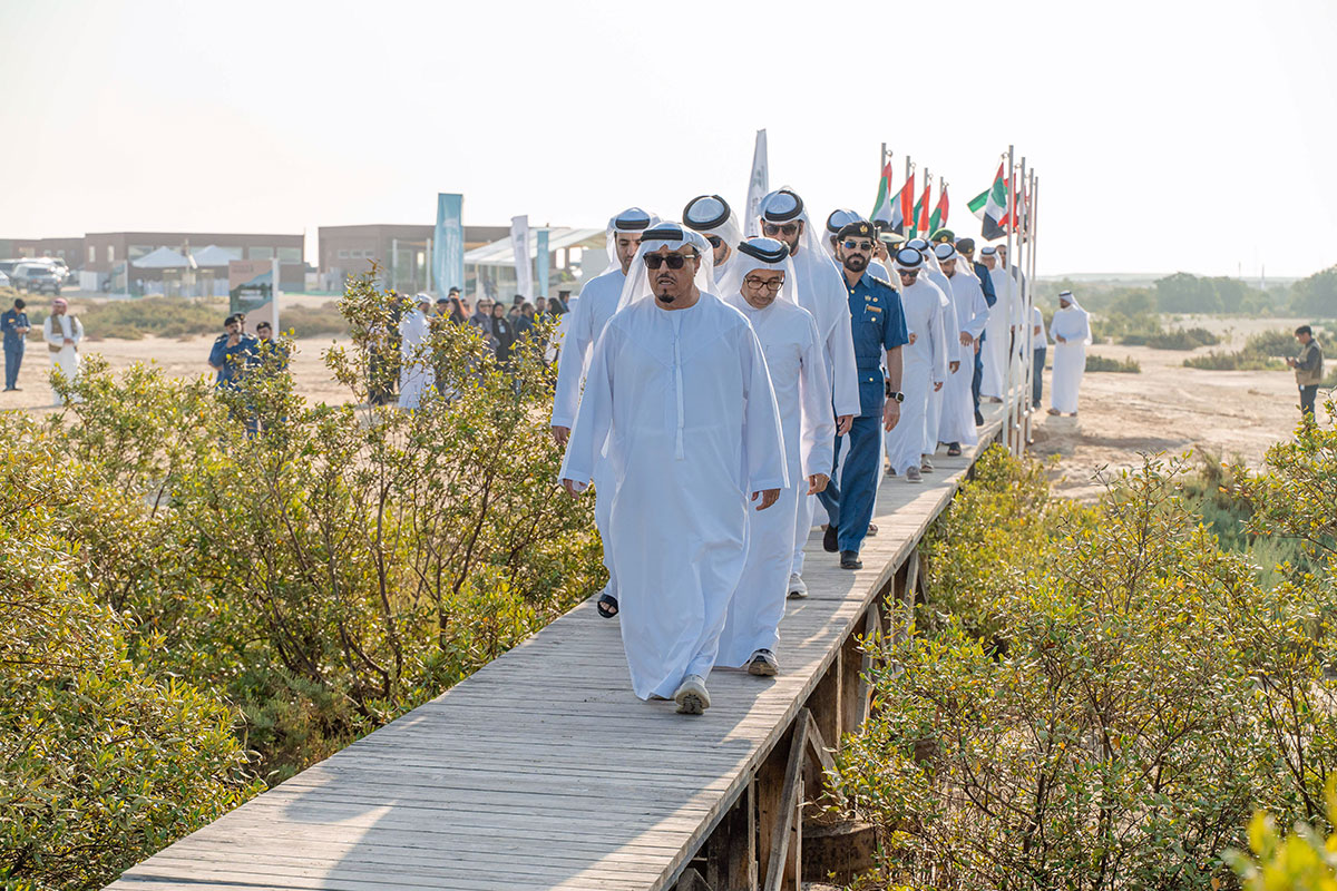 Dubai to Plant 40,000 Mangrove Trees in Two Years