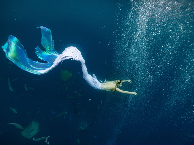Atlantis Dubai mermaid divers