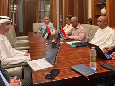 UAE South Africa trade