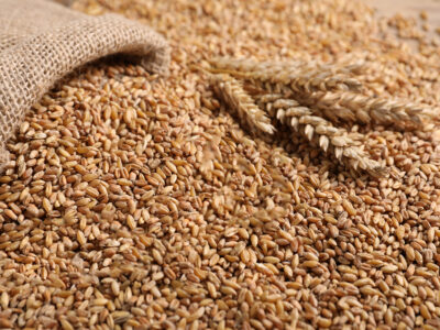 Egypt wheat import