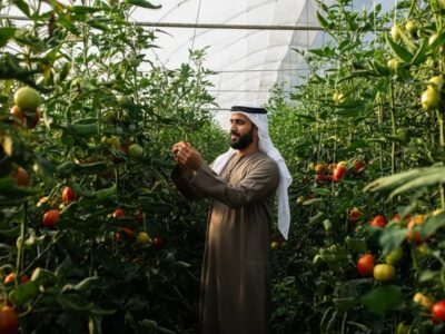 Abu Dhabi agriculture al ain farming