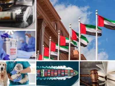 UAE laws