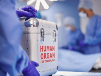 UAE organ transplants