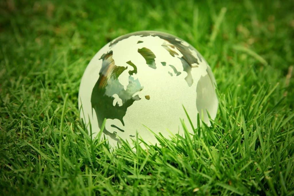 Eco-friendly practices lead to significant returns and higher profitability