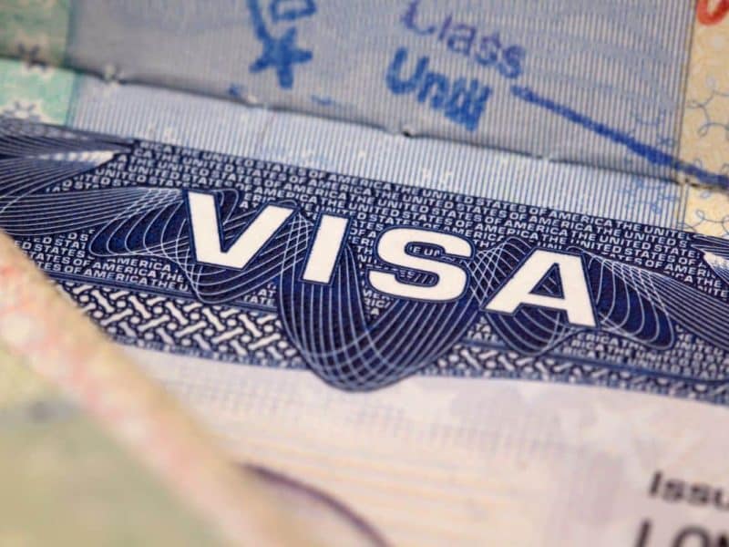 H-1B visa programme