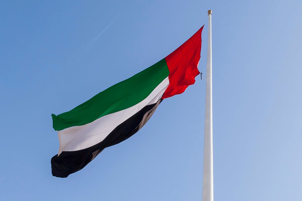 UAE residency violators