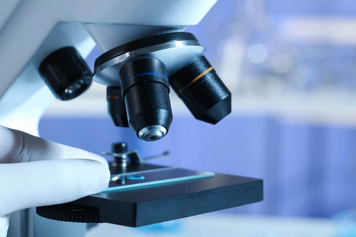 SPIMACO Signs Deal to Acquire Osmopharm