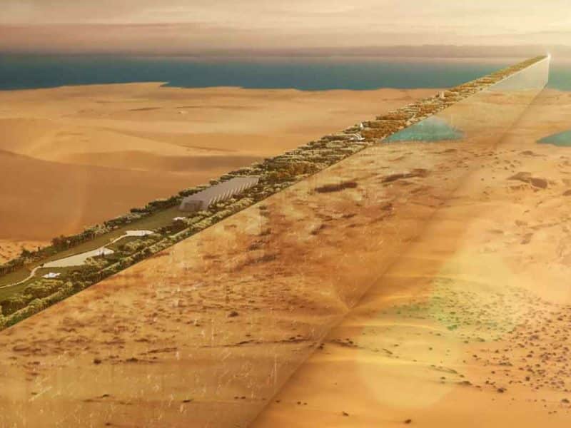 NEOM’s THE LINE