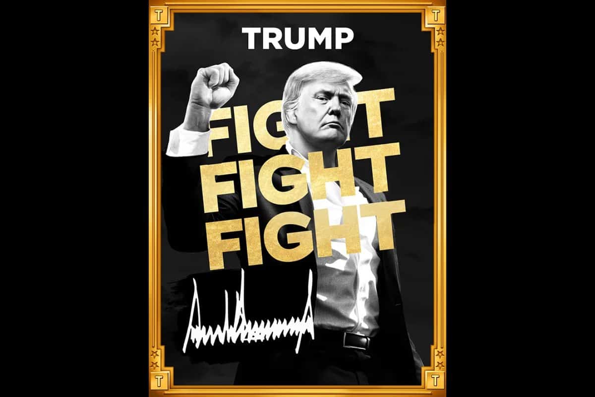 TRUMP meme coin