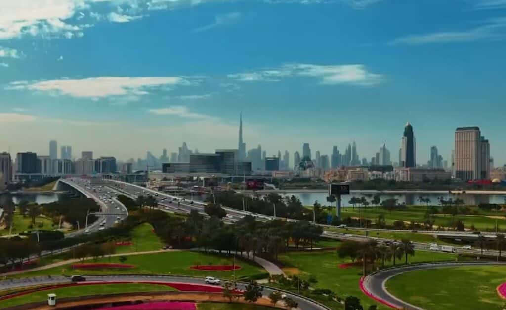 Dubai Municipal Trees