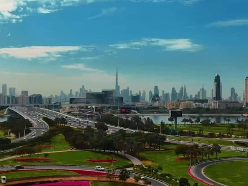 dubai municipality trees
